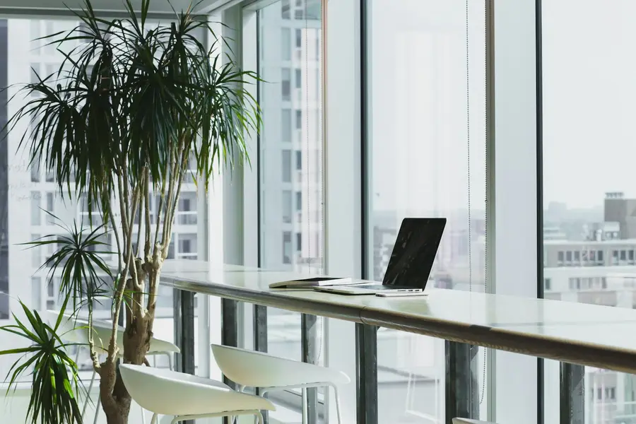 Unbesetzter Arbeitsplatz am Fenster, davor eine Zimmerpflanze