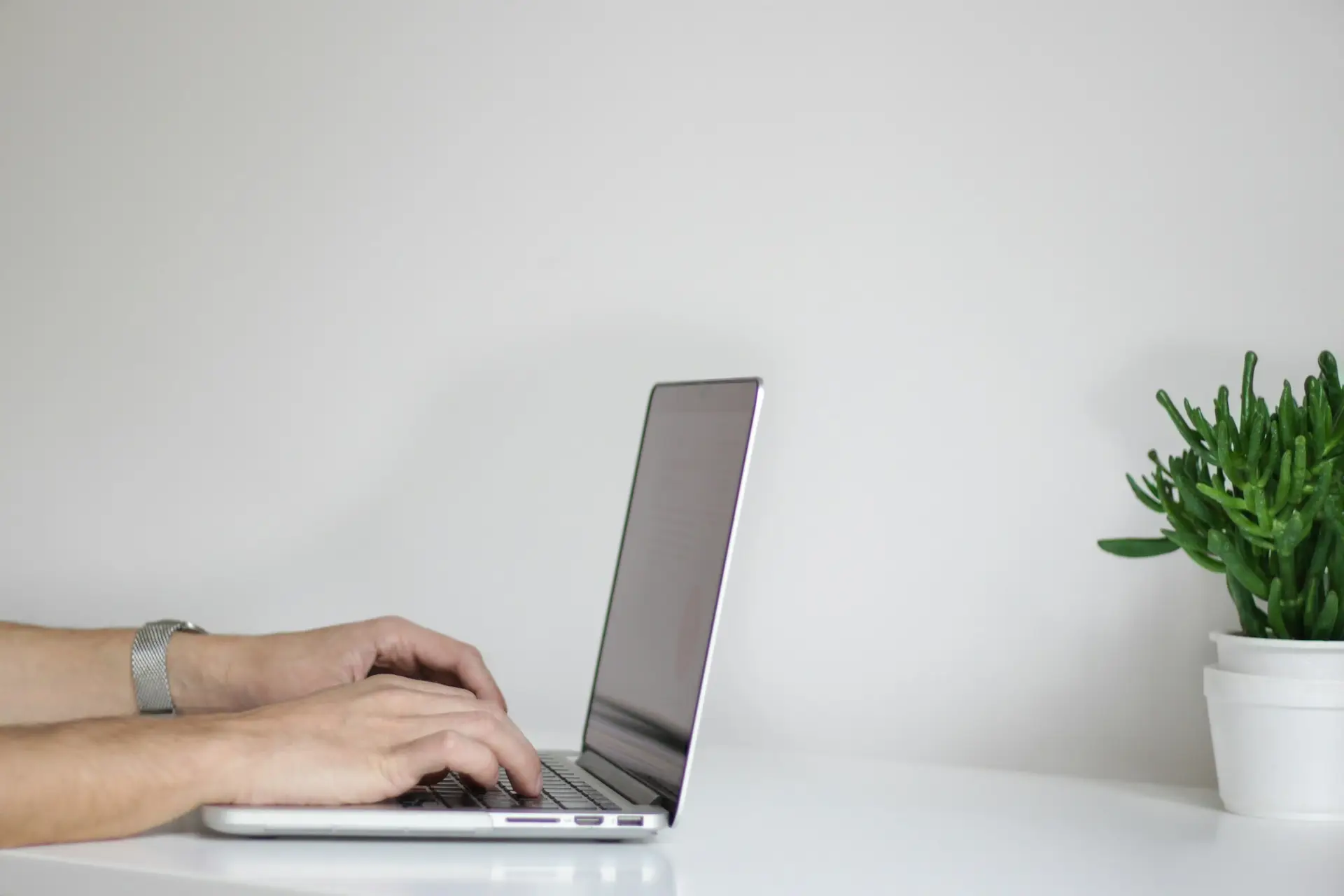 Hände tippen auf einem Laptop an einem hellen Tisch neben einer Pflanze