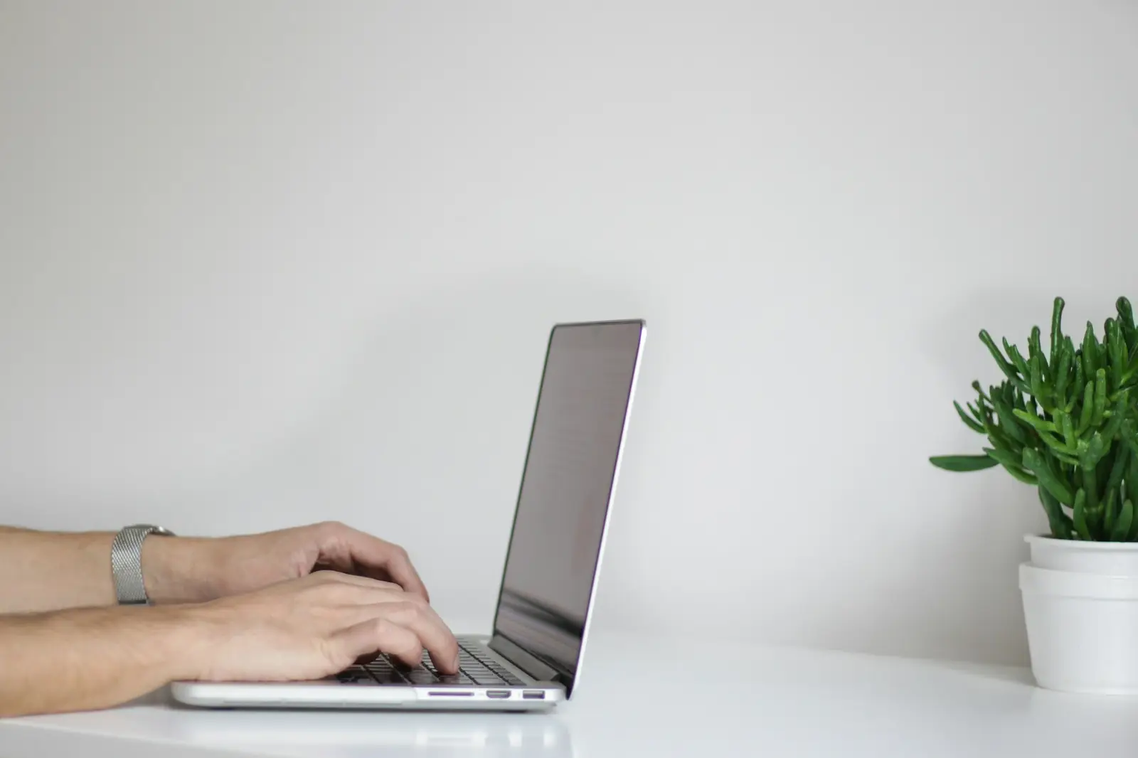 Hände tippen auf einem Laptop an einem hellen Tisch neben einer Pflanze
