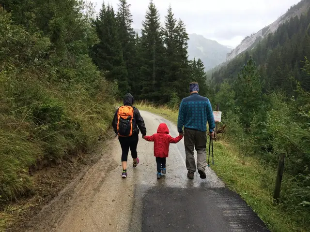 Zwei Erwachsene gehen mit einem Kind an der Hand auf einem Waldweg