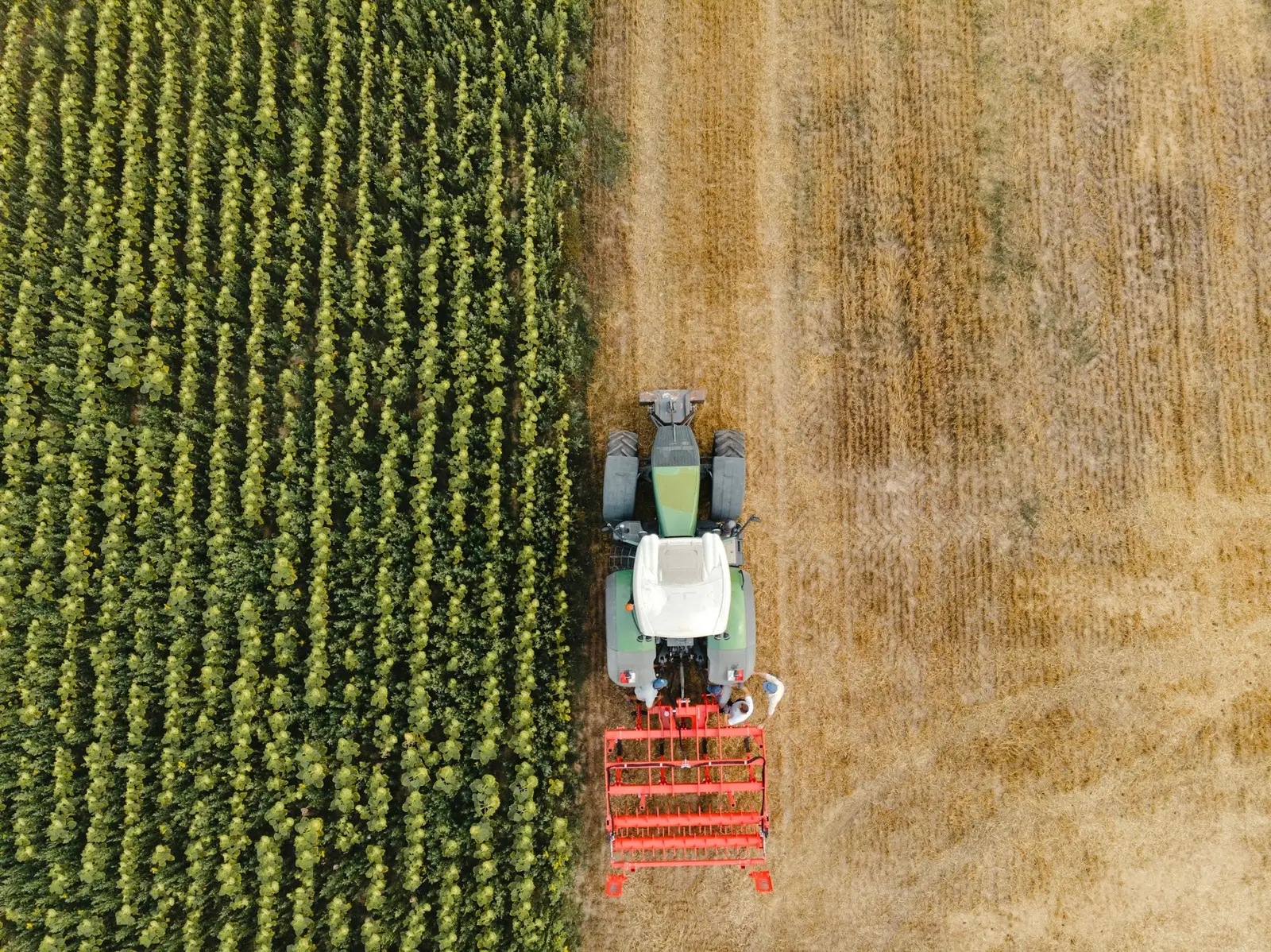 Traktor mit Anbaugerät am Feldrand aus der Vogelperspektive