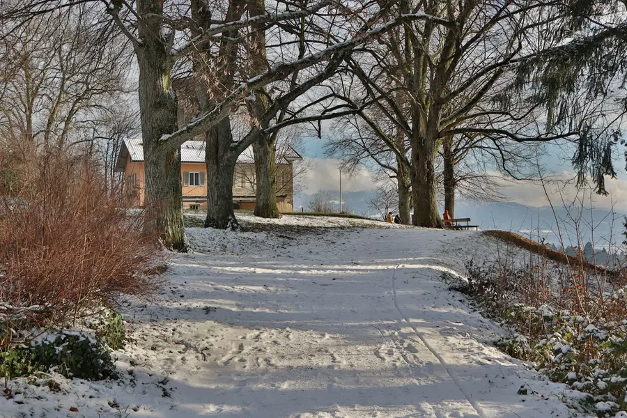 Verschneiter Weg führt zu einem Wohnhaus, Fußspuren im Schnee