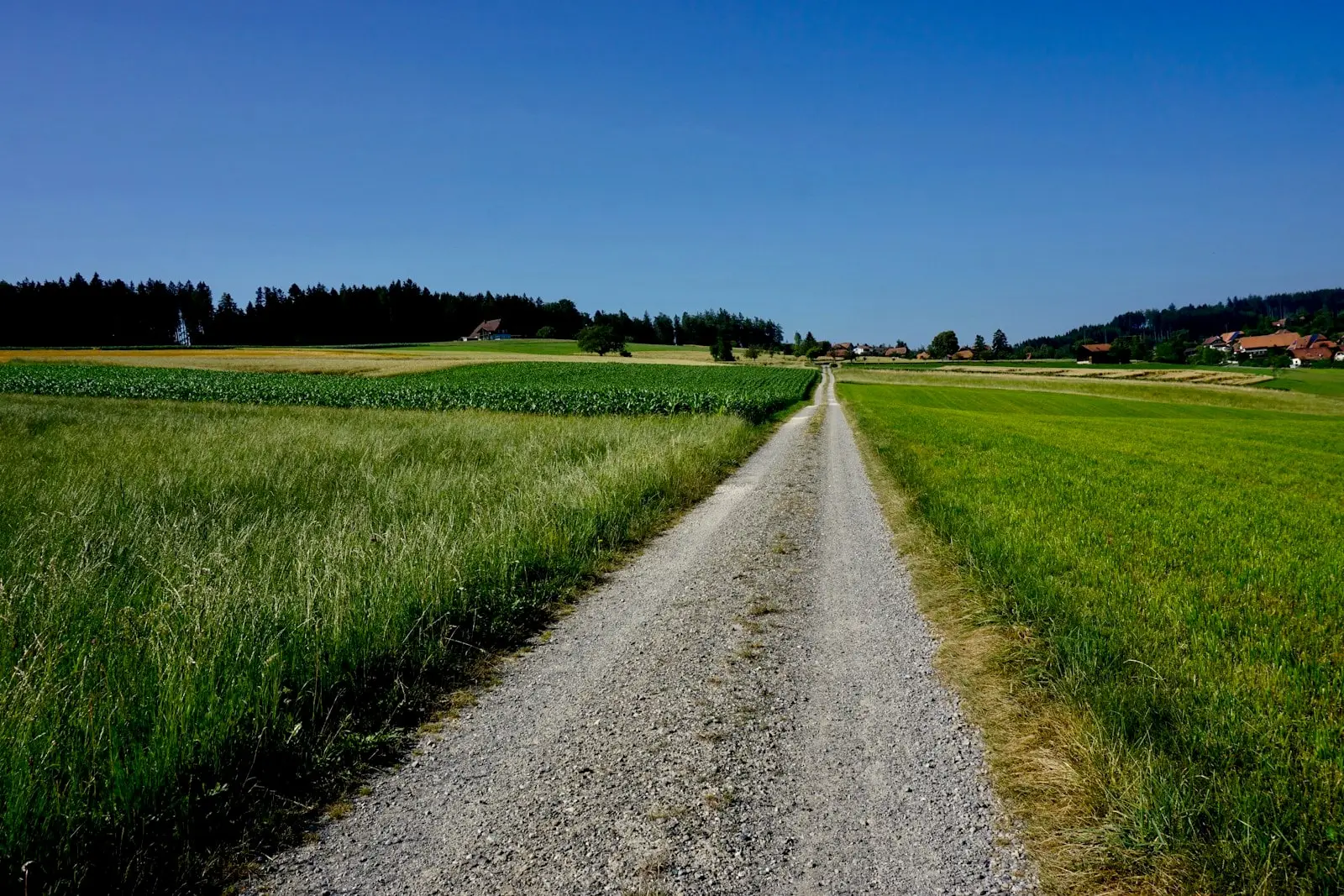 Geschotterter Feldweg zwischen zwei Äckern, am Horizont ein Dorf