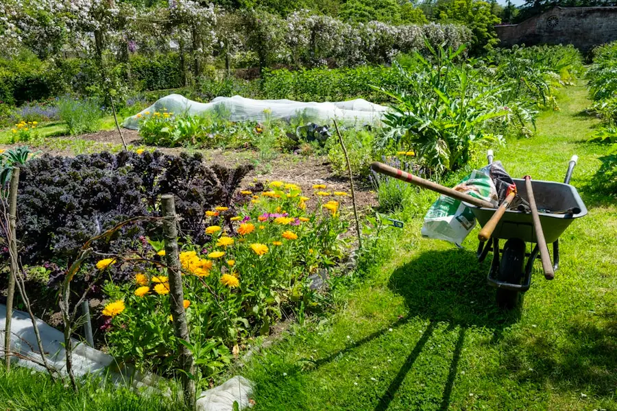 Gemüsebeete und Blumen im Schrebergarten, daneben eine Schubkarre