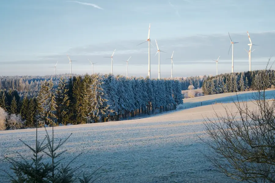 Windräder hinter einem verschneiten Waldrand über einem Feld im Raureif